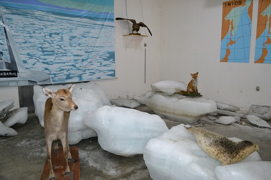 DSC_0244.jpg