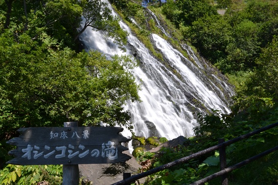 DSC_0295.jpg