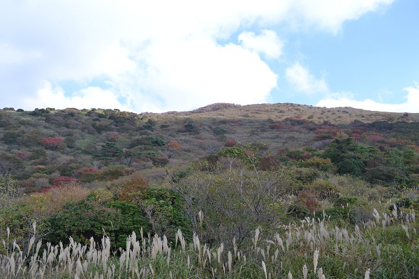 DSC_0051.jpg