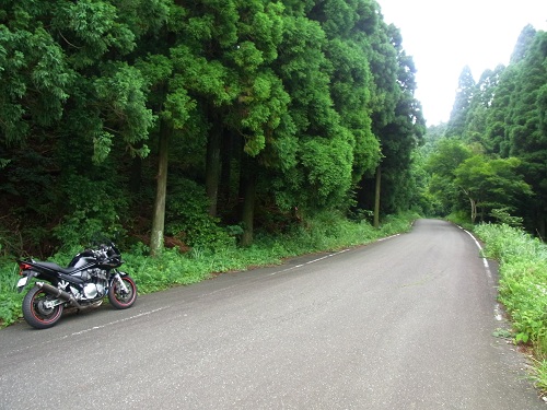 RIMG4002.jpg
