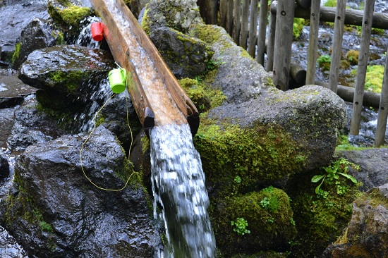 DSC_0152.jpg