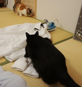 funmaru2702.JPG