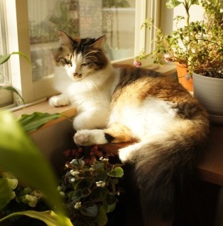 maru2665.JPG