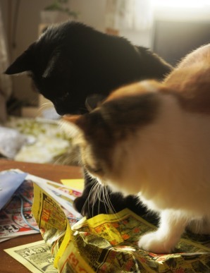 funhim0maru2012.JPG