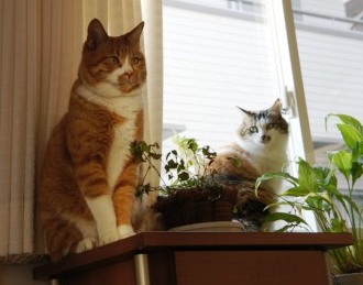 memaru02797.JPG