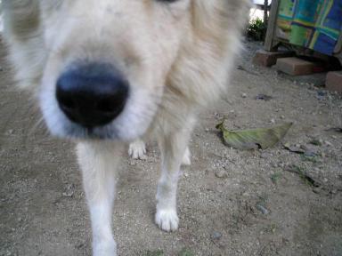 DSCN3732.JPG