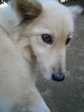 DSCN3766.JPG