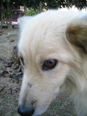 DSCN3767.JPG