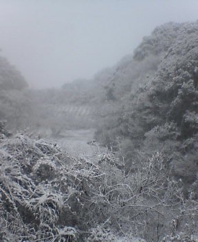 雪景色