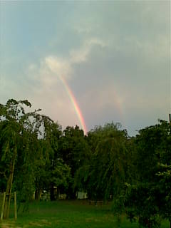 20090719_014_.jpg