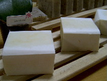 オリーブ１００