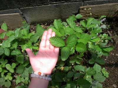 a-20090701 014.jpg