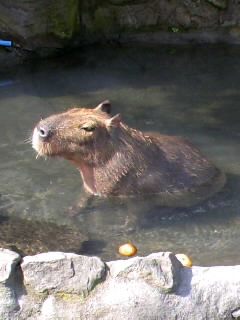 20090211125551.jpg