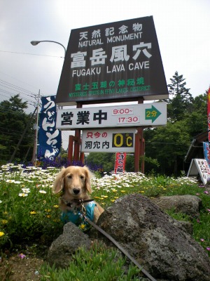 a-20090614 001.jpg