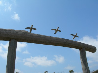 DSCN3262.jpg