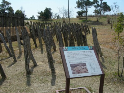 DSCN3263.jpg