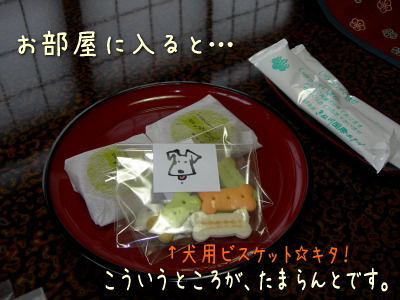 okashi.jpg