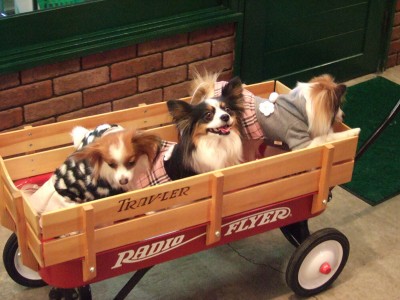 あたちたのちぃ♪