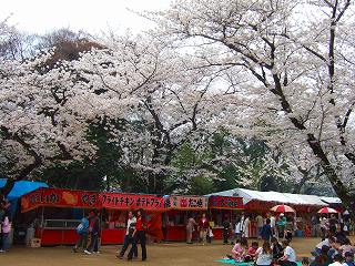 s-2007_0401sakura0134.jpg