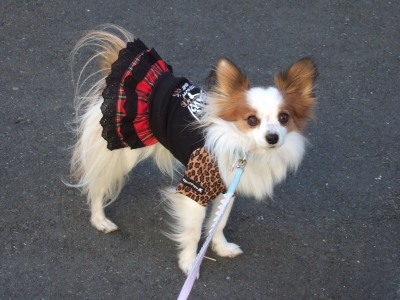 オラ、怖いもん。