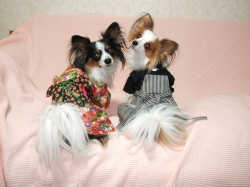 笑うな～～～（T×T）