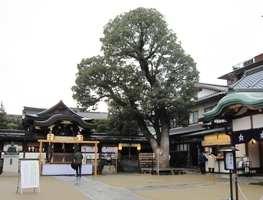 晴明神社