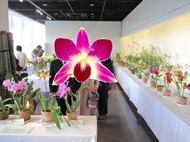ラン展４
