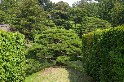 桂離宮３