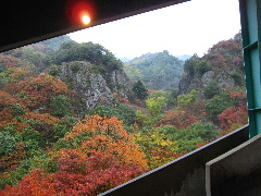 ﾛｰﾌﾟｳｪｲ駅