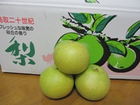 梨
