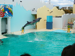 水族館