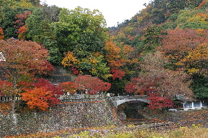 永源寺１