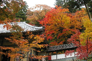 永源寺４