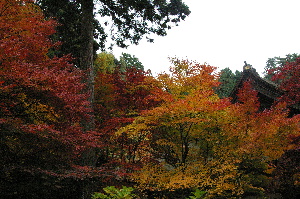 金剛輪寺３