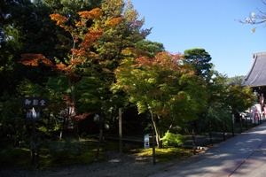 本堂前１