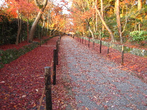 もみじ参道