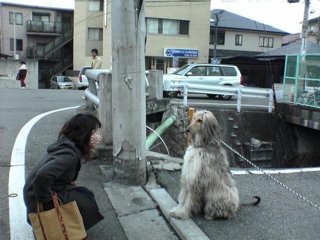 犬先生