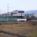 odoriko