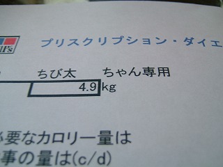 20060217-6