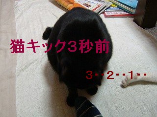 20060202-2