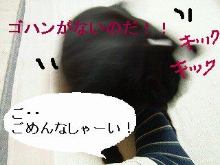 20060202-3