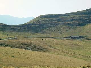 20051116-2