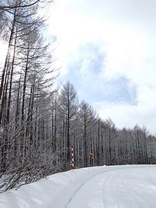 雪道03