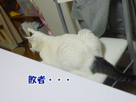 不本意ながら敗者になったごまだれ