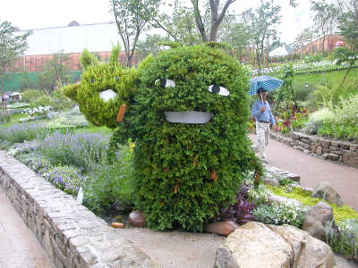 植木