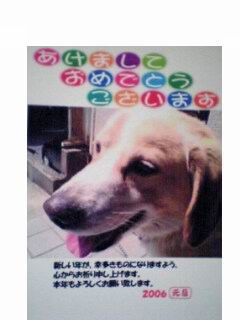 年賀
