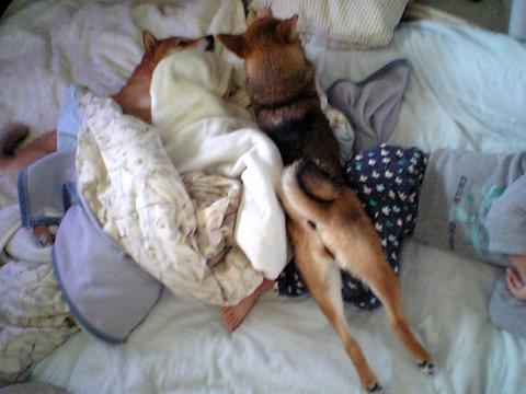 上から見ると…