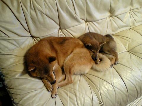 さむくなってきたね