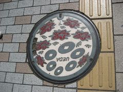 38131859_2168481450s.jpg