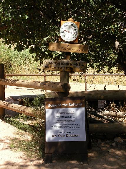 G.Canyon I. Garden your decision.JPG